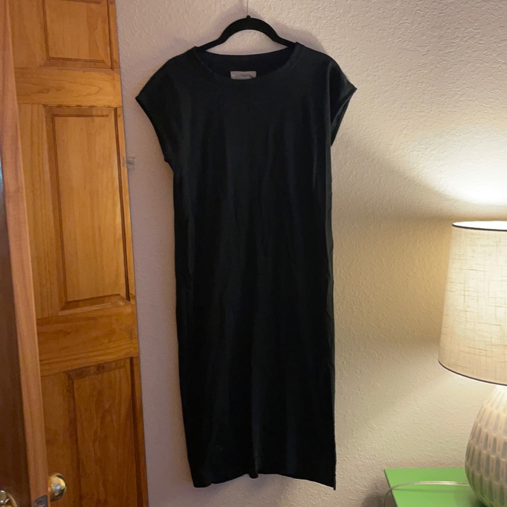 Everlane T-shirt Dress